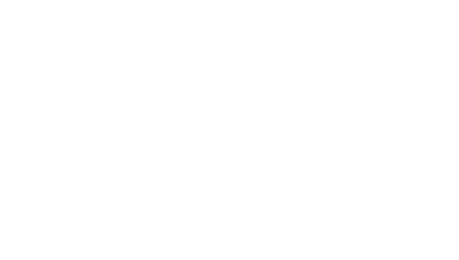 White pikes peak security Logo