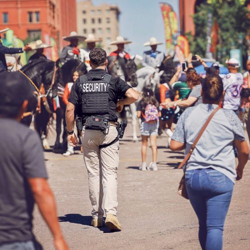 festival-security-guard